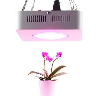 Joyinled Plant Grow Light Full Spectrum Waterproof 100W 200W LED Growing Lamp Phyto