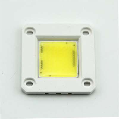 No Driver LED Diode 3W 5W 10W 20W 30W 50W AC 110V 120V 220Vac Integrated COB LED Chip For Outdoor Landscape