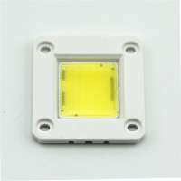 No Driver LED Diode 3W 5W 10W 20W 30W 50W AC 110V 120V 220Vac Integrated COB LED Chip For Outdoor Landscape