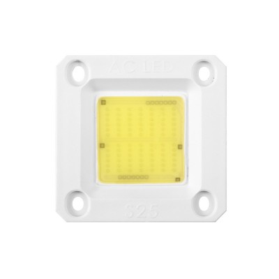 No need Driver 230V AC Led Chip 50W COB For Outdoor Stree Light