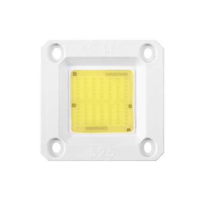 Non-driven 220V AC LED Module 50W DOB Chip